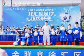 邓弗里斯加盟皇马交易成功引发关注